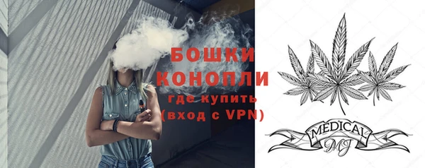 шишки Богородицк