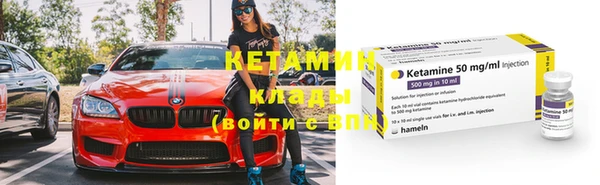 шишки Богородицк