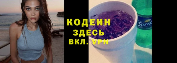 шишки Богородицк