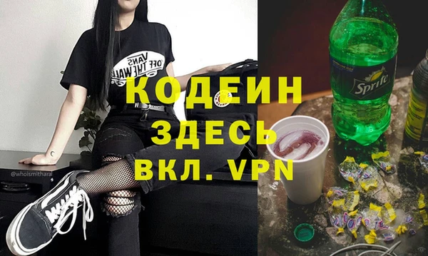 шишки Богородицк