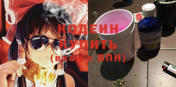 шишки Богородицк
