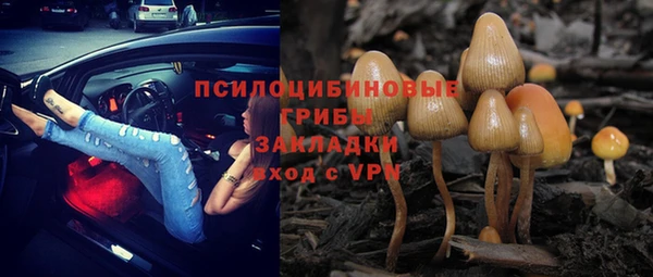 крисы Богданович