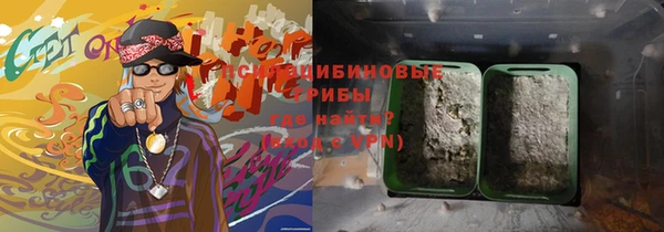 шишки Богородицк